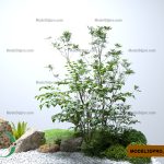 Free 3D Garden Models (1)